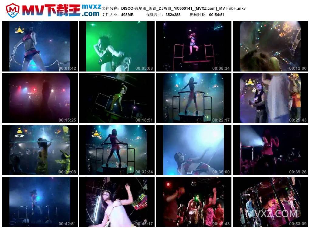 DISCO-流星雨_国语_DJ嗨曲_MC600141